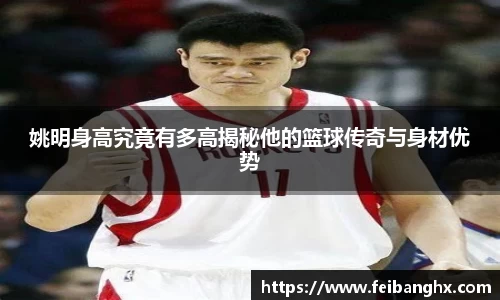 姚明身高究竟有多高揭秘他的篮球传奇与身材优势